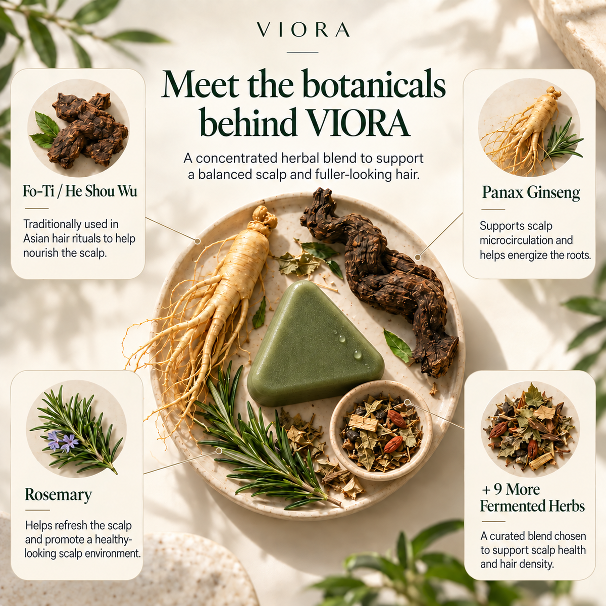 Viora Korean Scalp Revival Bar