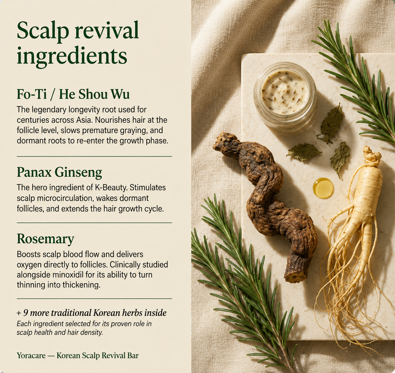 Korean Scalp Revival Bar